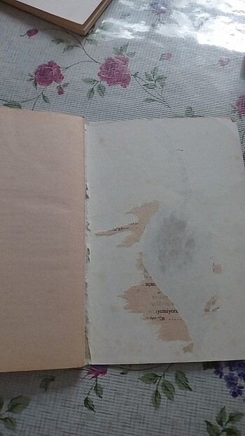 Karacoğlan şiirlerinden güldeste - Görsel 3