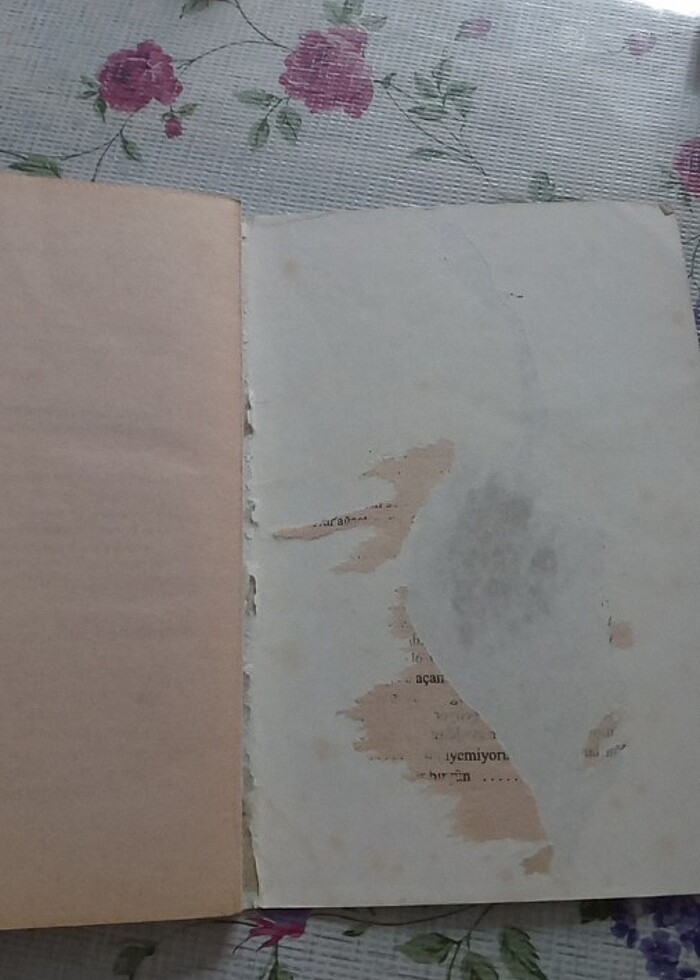 Karacoğlan şiirlerinden güldeste - Görsel 3