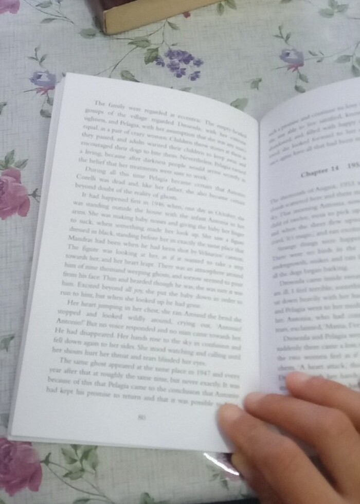 Captain corelli' s mandolin - Görsel 5