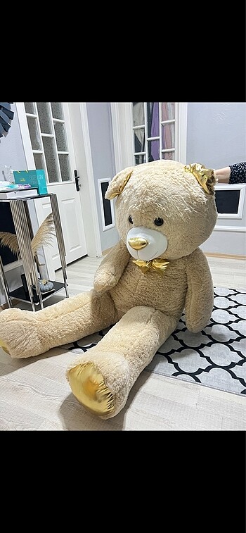 Beden Büyük ayı