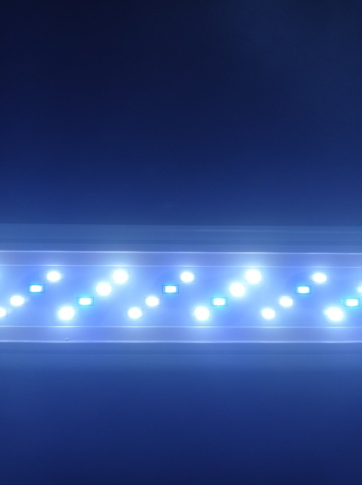 Mavi LED Akvaryum Lambası - Görsel 5