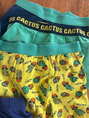 LC Waikiki 4-5 Yaş farklı markalarda 9 adet Boxer