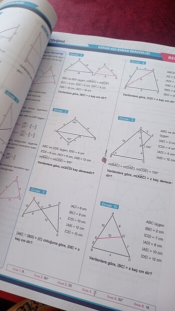 Beden Renk Mikroorjinal tyt ayt geometri soru bankası