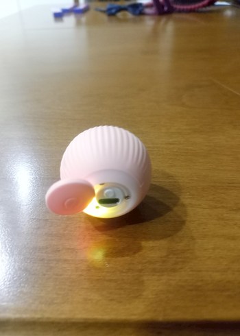 şarzlı kedi oyuncağı - Görsel 2