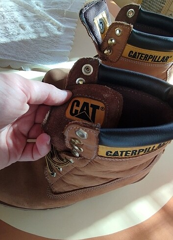 39 Beden Cat bot (39) 