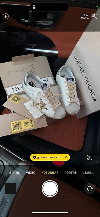 Golden goose