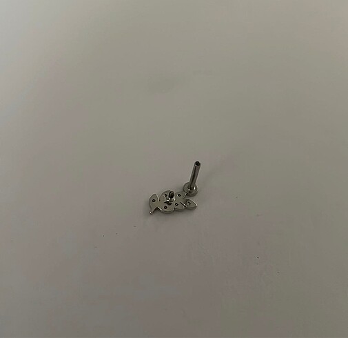 Yaprak Piercing - Görsel 3