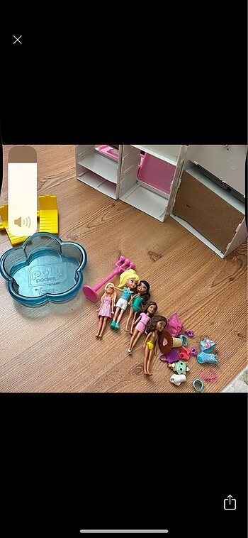 Polly pocket