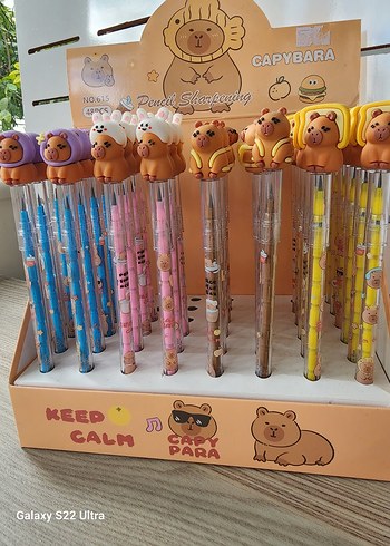 Capibara Yumurtlayan Kalem - Görsel 6