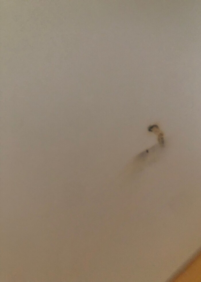 çalışma masası - Görsel 2