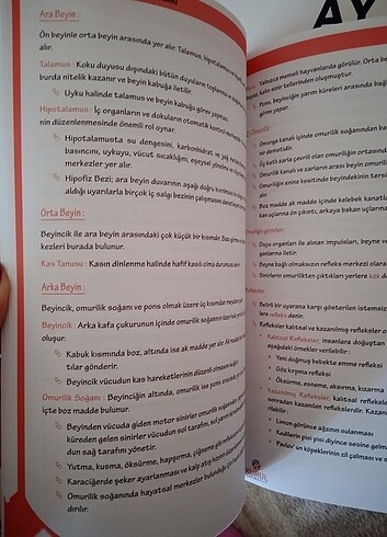 Beden ayt biyoloji test kitabı 3d