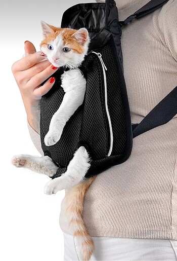Kedi ana kucağı