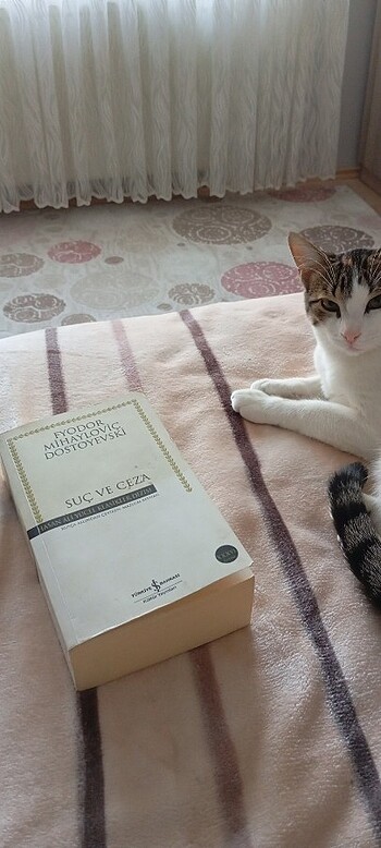 Suç ve Ceza