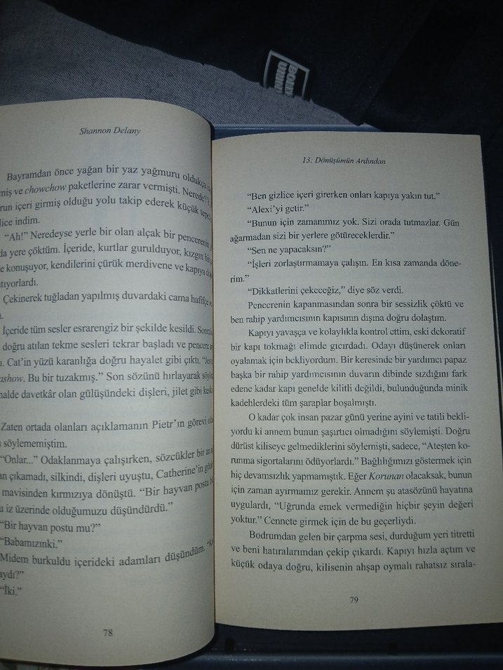 Dönüşümün Ardından - Shannon Delany - Görsel 2