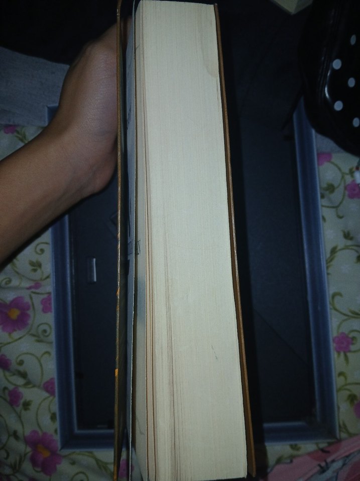 Dönüşümün Ardından - Shannon Delany - Görsel 3