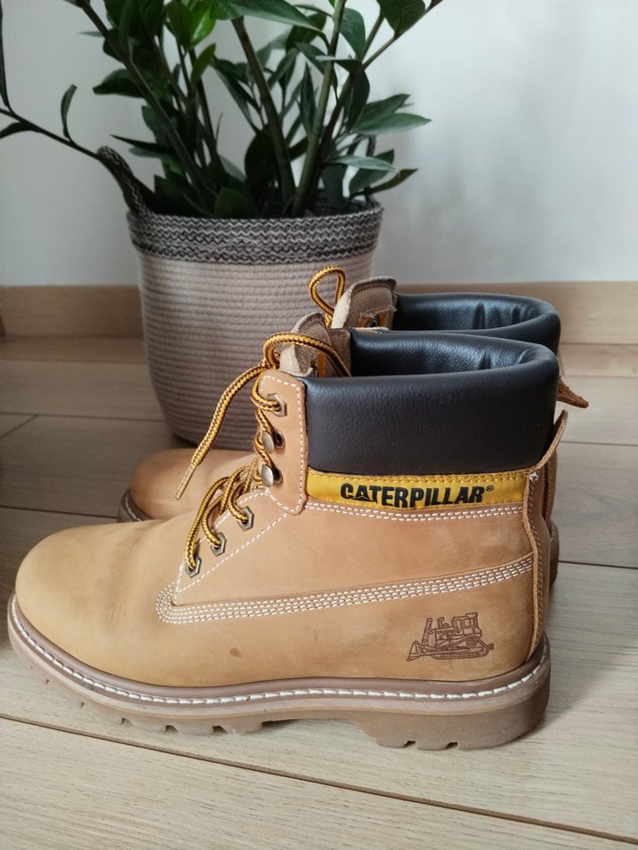 orijinal Cat Erkek Bot - Görsel 4