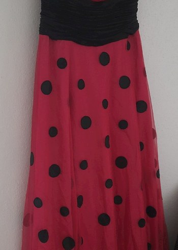 Odrella 44