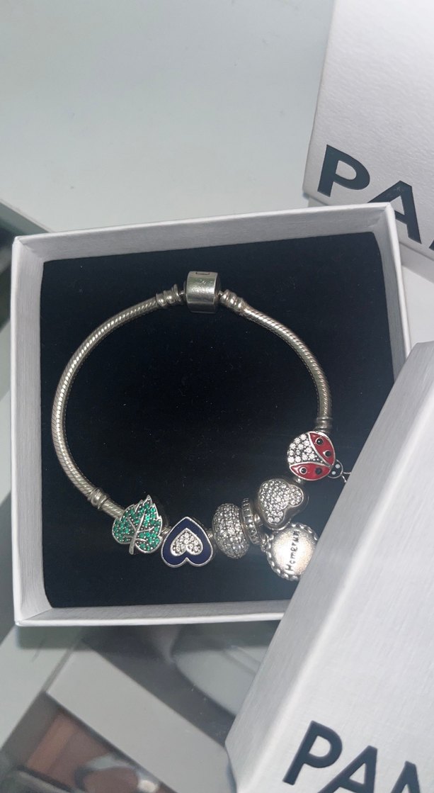 Pandora charmlı bileklik - Görsel 2