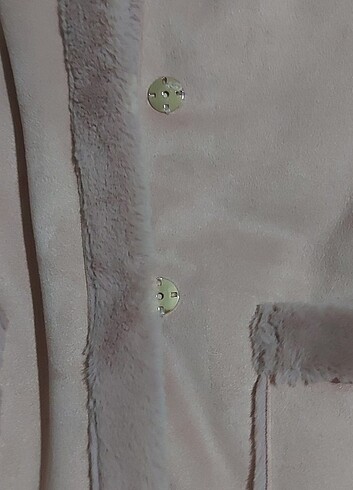 Ekol kaban - Görsel 5