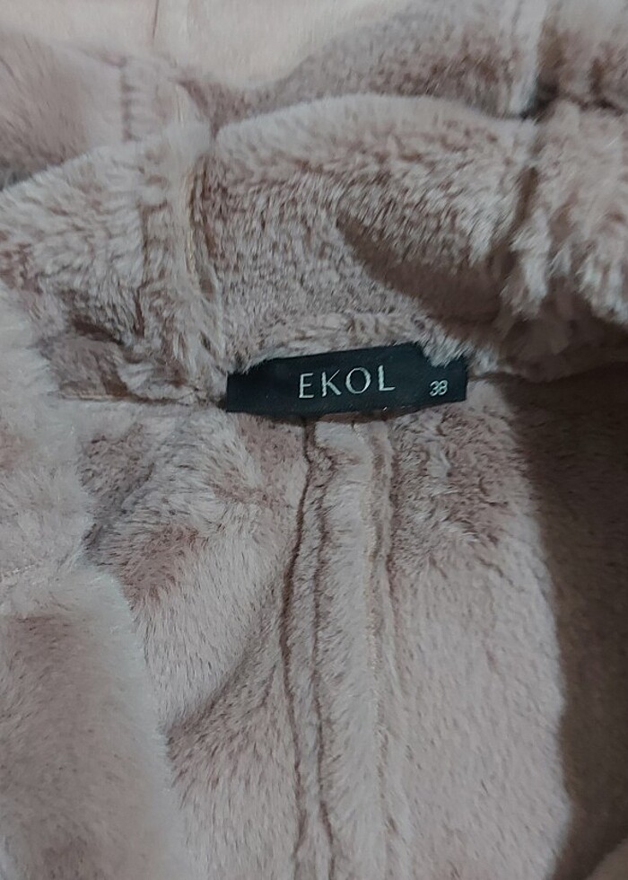 Ekol kaban - Görsel 2