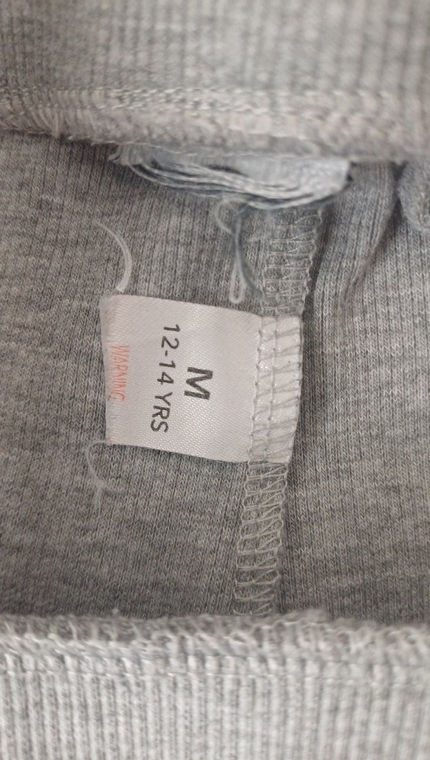 Gri Spor Şortu - Görsel 3