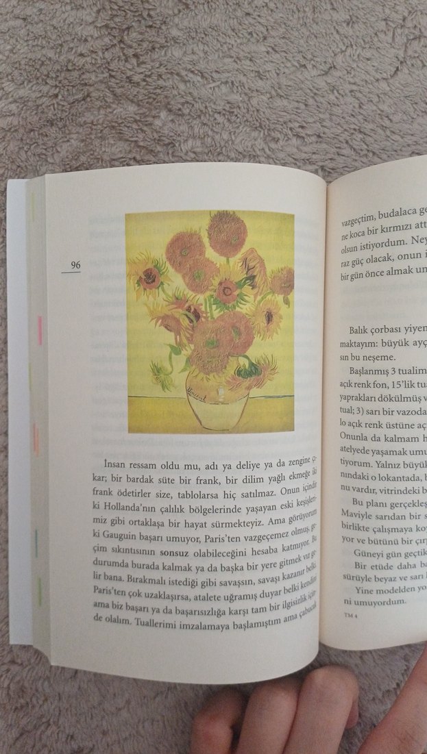 Theo'ya Mektuplar- Van Gogh - Görsel 5