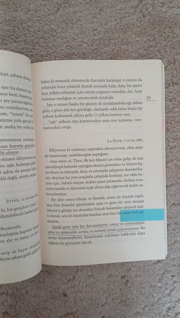 Theo'ya Mektuplar- Van Gogh - Görsel 4