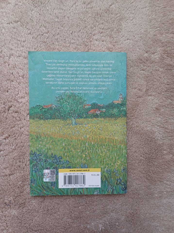 Theo'ya Mektuplar- Van Gogh - Görsel 2