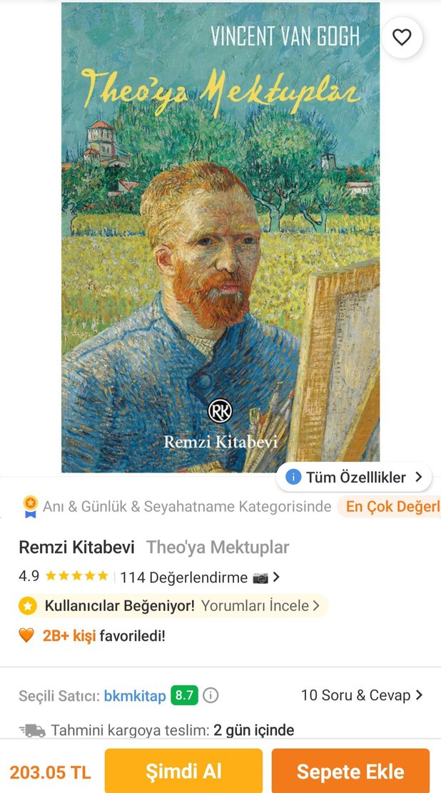 Theo'ya Mektuplar- Van Gogh - Görsel 3