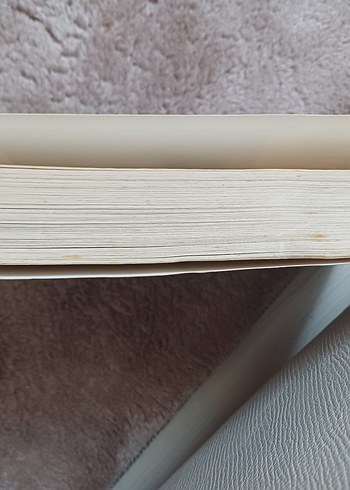 Budala - Dostoyevski - Görsel 5