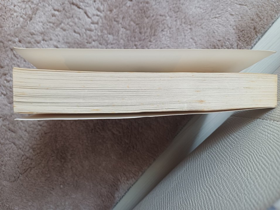 Budala - Dostoyevski - Görsel 5