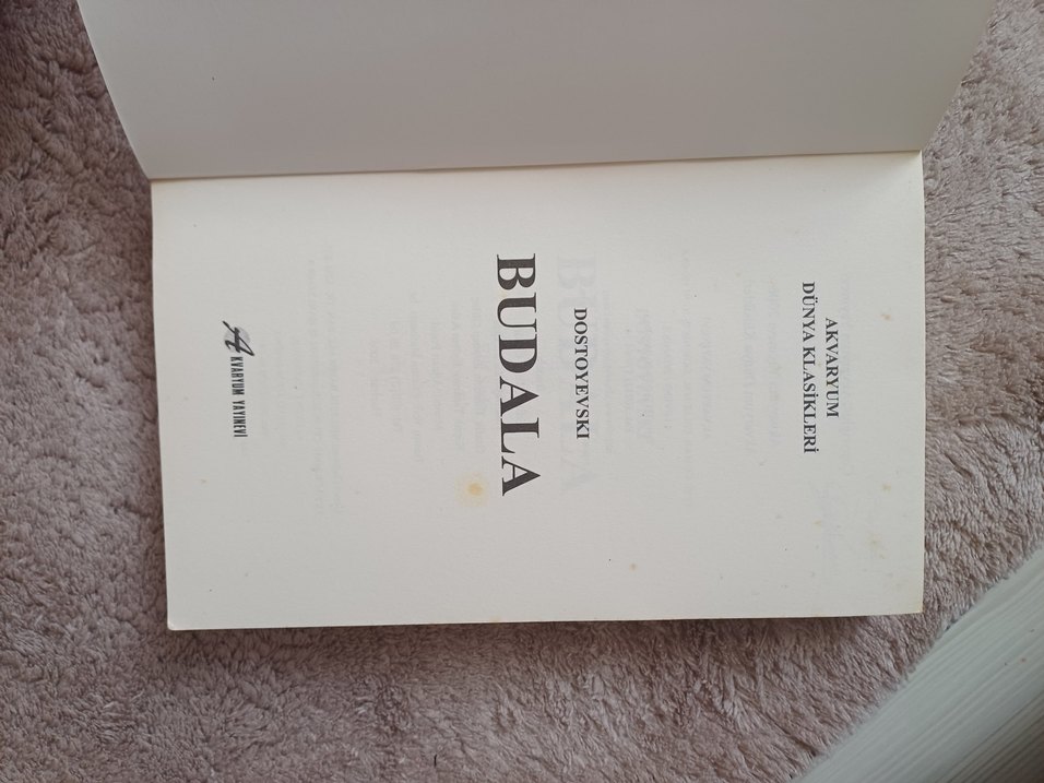 Budala - Dostoyevski - Görsel 4