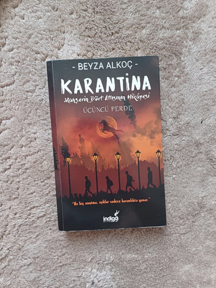 Karantina 1 2 3- Beyza Alkoç - Görsel 4