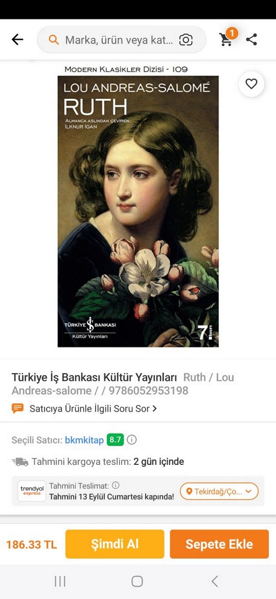 Ruth-Lou Andreas-Salomé - Görsel 5