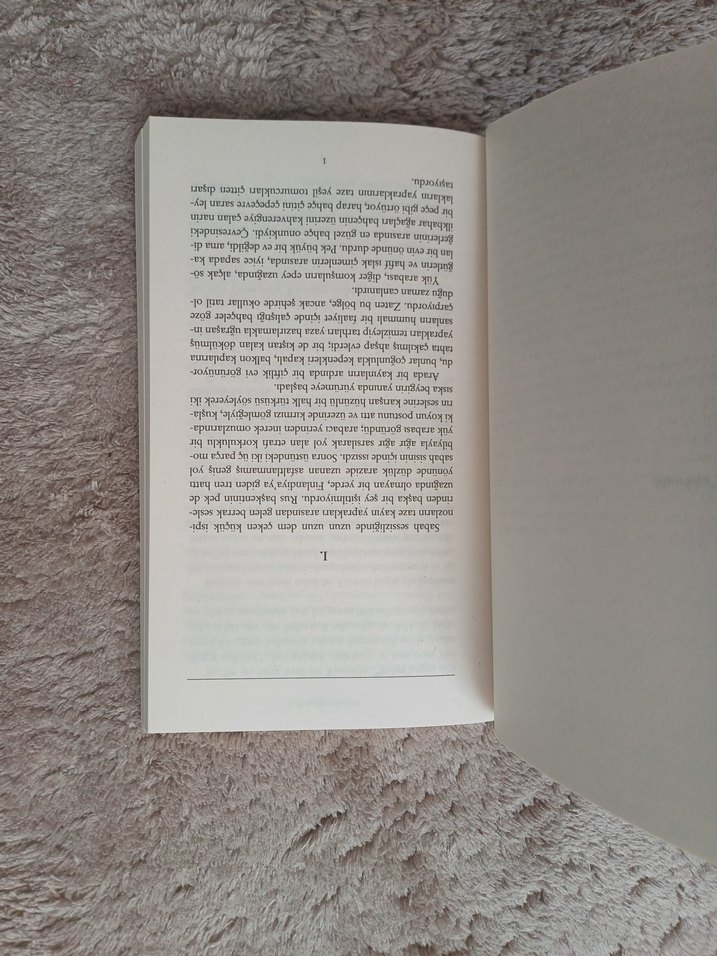 Ruth-Lou Andreas-Salomé - Görsel 4