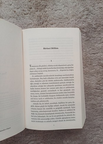 Suç ve Ceza - Fyodor Dostoyevski - Görsel 5