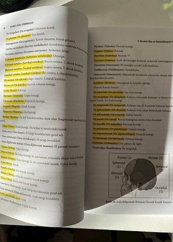 Mesleki ve Tıbbi Terminoloji Kitabı 3. Baskı - Görsel 7