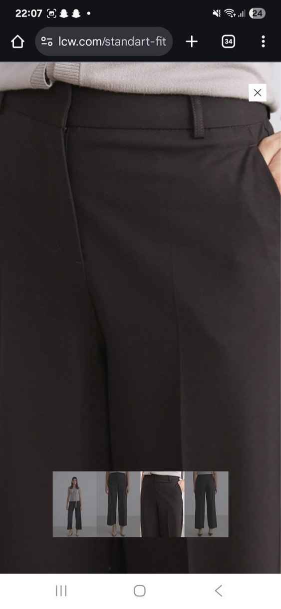 lcw classics Kahverengi Standart Fit Geniş Paça Kadın Pantolon - Görsel 3