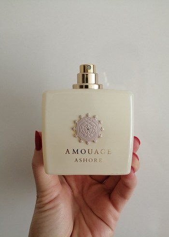 ashore edp