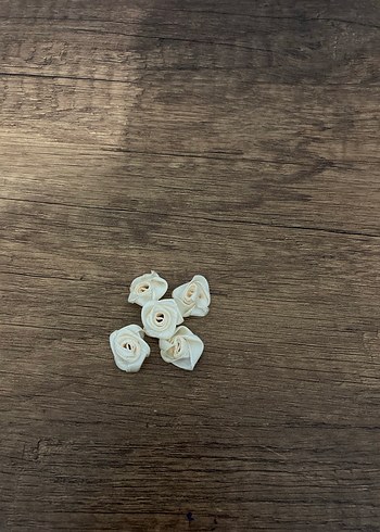 Bej Minik Gül - Görsel 2