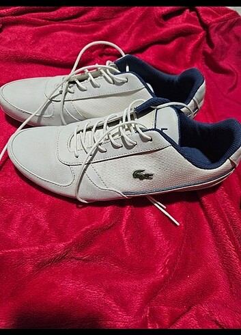38 Beden Orjinal lacoste