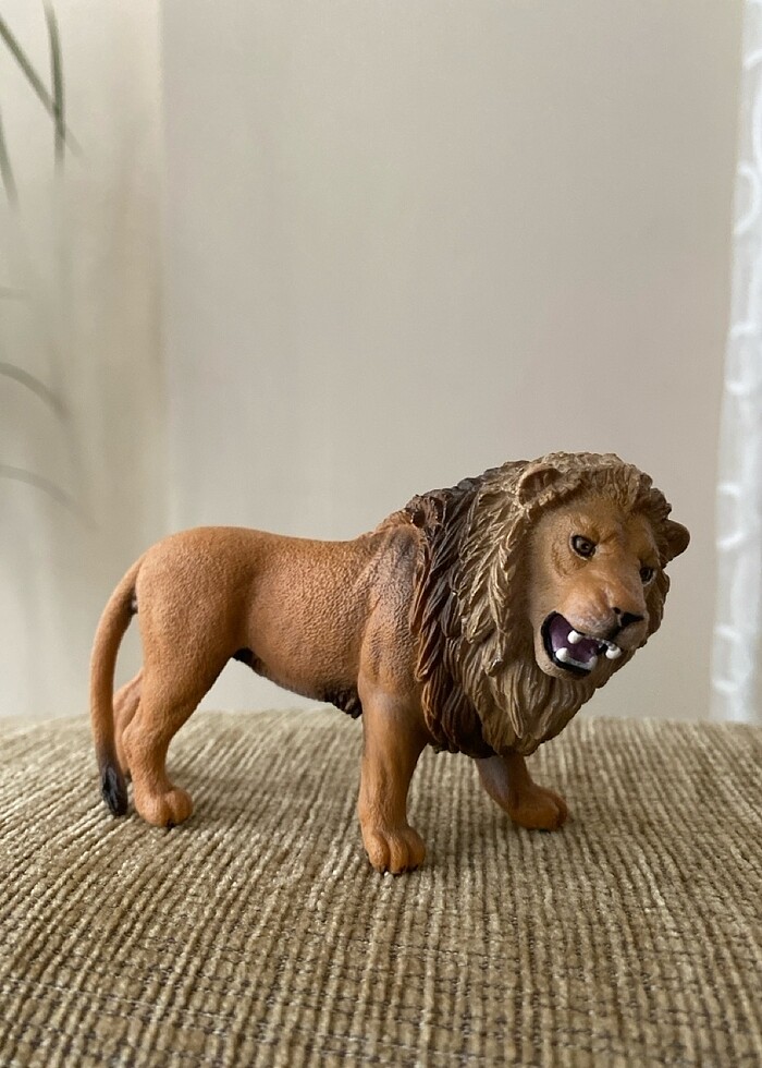 Aslan ailesi - Görsel 2