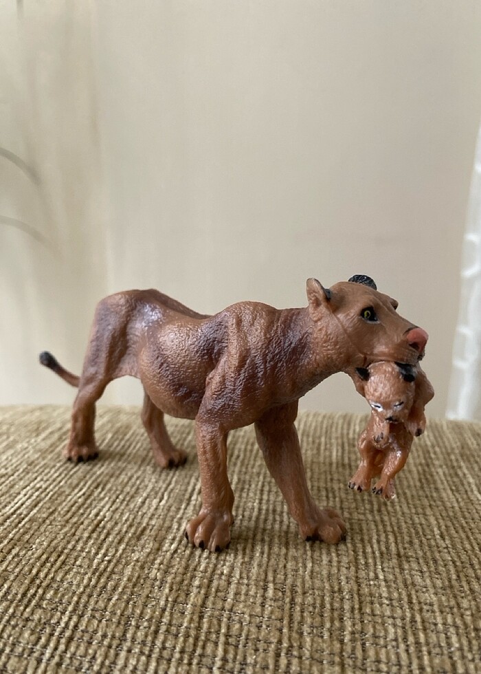 Aslan ailesi - Görsel 3