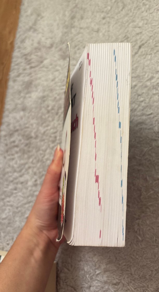 DaF Almanca-Türkçe Sözlük - Görsel 2