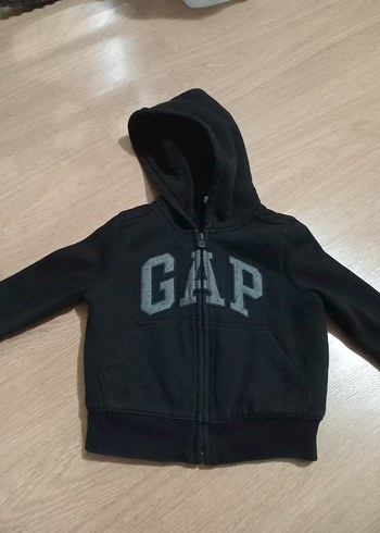 Gap 18-24 Ay