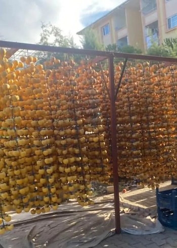 Cennet elması kurusu (Trabzon hurması) - Görsel 2