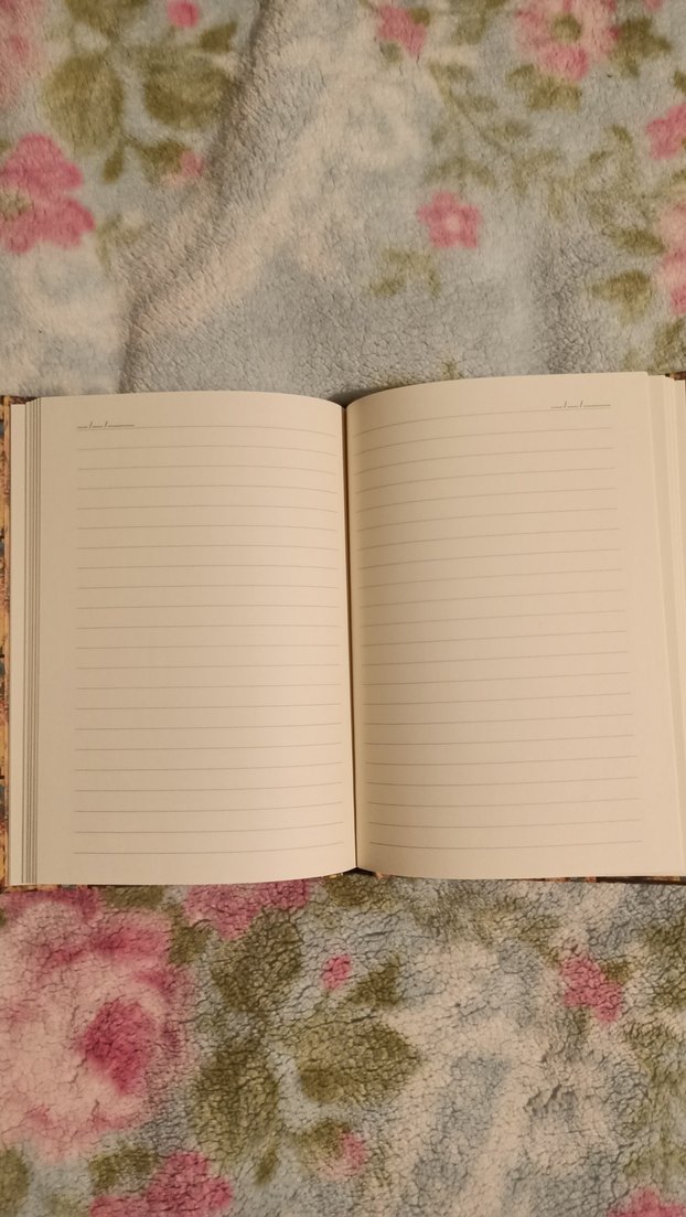 Desenli Çizgili Defter - Görsel 3