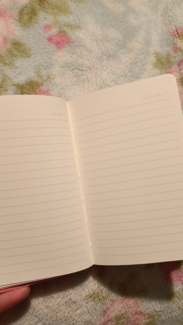 Çizgili Renkli Defter - Görsel 4