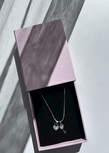 Çelik Kolyeler Adet 150 tl