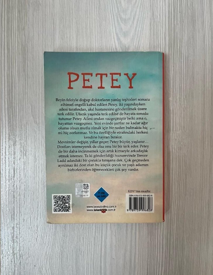 Petey - Ben Mikaelsen - Görsel 2